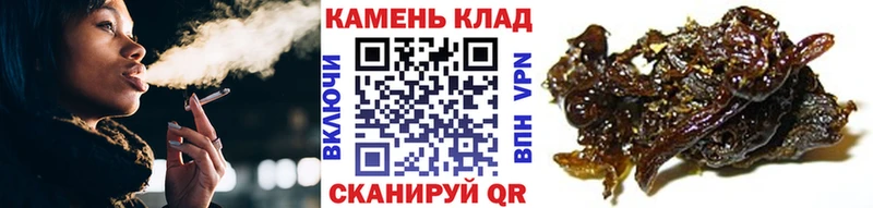 продажа наркотиков  Ленинск  ГАШ Premium 