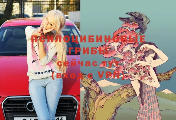 тгк Осинники