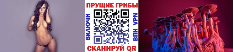 Галлюциногенные грибы Psilocybe  Ленинск 